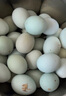 京樂(lè )狳湖北恩施高山富硒 新鮮放養農家雞蛋草柴五黑綠殼烏雞蛋 30枚 曬單實(shí)拍圖