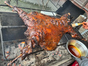 杞樂康 寧夏山羊肉 整只 精品黑山羊30斤禮盒 烤全羊燉煮食材 源頭直發(fā) 曬單實(shí)拍圖