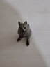 思樂(lè )（Schleich S）仿真野生動(dòng)物模型袋鼠河馬犀牛小熊貓灰熊猩猩兒童玩具生 短尾矮袋鼠14823 曬單實(shí)拍圖