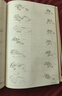 EVA新世紀福音戰士漫畫(huà) 全套套裝1-14冊 EVA正版已完結 日本經(jīng)典科幻冒險卡通動(dòng)漫 貞本義行繪魔都綾波麗明日 新世紀福音戰士新劇場(chǎng)版破 動(dòng)畫(huà)原畫(huà)集 兩冊 曬單實(shí)拍圖