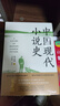 【官方正版】中國現(xiàn)代小說史 著名文學評論家夏志清震動中西學界的開創(chuàng)性著作 重構中國現(xiàn)代文學史的研究格局 世紀文景 曬單實拍圖