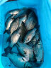 客友釣具客友名仕大物三代魚(yú)竿青鱘魚(yú)竿巨物魚(yú)竿28調超硬釣魚(yú)竿綜合大物桿 10m 專(zhuān)攻大體型魚(yú)情 曬單實(shí)拍圖