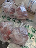 鮮羊官內(nèi)蒙古呼倫貝爾羊肉 羊蝎子 火鍋食材 新鮮羔羊肉 精品羊蝎子800g 精品羊蝎子2.5kg 曬單實拍圖