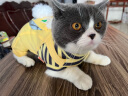 华元宠具（hoopet）猫咪衣服宠物猫猫四脚防掉毛小猫衣服春季薄绒幼猫无毛猫可爱服装 【薄绒】黄色四脚背带裤 S：胸围35cm(建议3-5斤） 实拍图