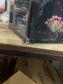 爬將軍桌面斗魚(yú)缸超白魚(yú)缸迷你小型家用客廳辦公室生態(tài)懶人水草缸 30cm缸（帶蓋+燈） 曬單實(shí)拍圖