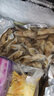 蟶子鮮活冷凍蟶子肉新鮮現剝蟶子王竹節蟶冷凍竹蟶子 蟶子肉3斤 0g(凈重) 曬單實(shí)拍圖
