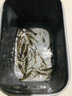 川品社初學者釣蝦竿兒童魚竿套裝手竿釣蝦迷你短節(jié)釣竿便攜溪流竿小魚竿 1.8m 竿+2組線組（專攻羅氏/龍蝦 曬單實拍圖