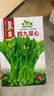 廣東四九菜心種子紅菜苔白菜苔四季蔬菜種籽孑增城遲青菜菜籽大全 四九菜心種子【1包 約1千?！?曬單實拍圖