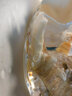貝意品觀(guān)賞蝦糧飼料黑殼蝦淡水蝦水晶蝦白鰲蝦小型蝦高蛋白沉底蝦糧 觀(guān)賞蝦專(zhuān)用糧180g【靚甲增艷】 曬單實(shí)拍圖