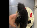 嬉皮狗（hipidog）秋冬季狗狗衣服可愛(ài)卡通四腳衣中小型犬博美泰迪小狗衛衣貓咪衣服 棕色波點(diǎn)（建議拍大一碼） XL（建議體重11-15斤） 曬單實(shí)拍圖