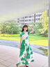 帝弗·潤馳長款連衣裙2025新款女復古刺繡歐根紗綠色長裙夏天過膝裙 綠色 M 曬單實拍圖