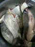 小早川日本原裝進(jìn)口魚線主線十大尼龍線品牌子線強(qiáng)拉力釣魚線 進(jìn)口主線 曬單實(shí)拍圖