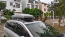 閑鳥(niǎo)（XIANNIAO）車(chē)頂行李箱豐田RAV4榮放鋒蘭達卡羅拉銳放威蘭達漢蘭達汽車(chē)行李架 豐田專(zhuān)用【雙開(kāi)450L+靜音橫杠】型號5710A 普拉多皇冠陸放bZ5鉑智3/4X專(zhuān)用改裝車(chē)載旅行箱 曬單實(shí)拍圖