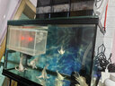 酷魚(yú)酷魚(yú)變頻水泵魚(yú)缸潛水淡海水泵水族箱循環(huán)過(guò)濾泵水陸兩用 DC-1500 曬單實(shí)拍圖