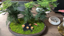 苔蘚微景觀(guān)植物虎須小盆栽文竹辦公桌擺件創(chuàng  )意金錢(qián)盆景 禪心E款大盆（配工具） 含盆 曬單實(shí)拍圖