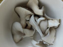 禹知蔬蘑菇种植包平菇菌包家庭种香菇菌种菌菇种子椴木棒可食用菌种包 灰平菇种植大菌包1个约2斤 实拍图