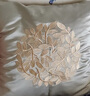米樂(lè) 輕奢刺繡抱枕靠墊布藝沙發(fā)靠枕床頭辦公室護(hù)腰靠背汽車(chē)腰枕 淺灰(圓圈花刺繡) 45*45cm抱枕套+枕芯 曬單實(shí)拍圖