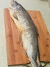 咸大馬哈魚整條新魚腌制紅肉馬哈魚撫遠(yuǎn)特產(chǎn)新鮮老式咸魚 整條2.5斤咸大馬哈魚一條 曬單實拍圖
