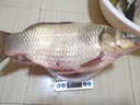 西部風(fēng)（Xibu feng）西部風(fēng)方塊餌野釣鯽魚(yú)鯉魚(yú)草魚(yú)鰱鳙餌料湖庫草洞打窩料酸臭谷物香 谷物香方塊餌 曬單實(shí)拍圖