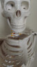 85CM人体骨骼模型骨架人体模型成人小白骷髅教学脊椎全身骷髅标本带脊柱神经带椎间盘 肌肉着色韧带 A款85cm立式骨骼带椎间盘及神经 实拍图