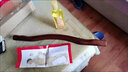 寶利嘉搟筋棒按摩棒經(jīng)絡(luò)疏通家用減腹瘦腰去脂搟筋棍養(yǎng)生棒刮痧棒 52cm碳化搟筋棒【無】 曬單實拍圖