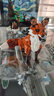 樂高（LEGO）31154 森林動(dòng)物紅色狐貍 百變?nèi)弦荒信?chuàng)意拼搭積木玩具 曬單實(shí)拍圖