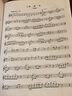 張世祥小提琴教學(xué)曲集 第2冊 上海音樂(lè )出版社 上海音樂(lè )出版社 著(zhù) 張世祥 編 書(shū)籍 曬單實(shí)拍圖