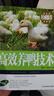 【書】正版高效養(yǎng)鴨技術 鴨品種選擇種鴨培育鴨蛋孵化 鴨場鴨舍建設飼料配置 鴨病防治與治療 飼養(yǎng)技術指導鴨子鵝家禽畜牧養(yǎng)殖書籍 曬單實拍圖