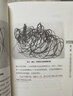 培養孩子從畫(huà)畫(huà)開(kāi)始（珍藏版）1 曬單實(shí)拍圖