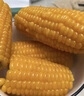 栗品優(yōu) 玉米 東北玉米棒即食粘黏玉米黑玉米粗糧代餐蔬菜 【健康輕食】糯玉米8支 曬單實(shí)拍圖