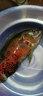 博悅 白袖魚鉤 無刺釣鉤 垂釣用品漁鉤臺釣竿魚竿漁具配件釣魚用品 8號-50枚 曬單實拍圖