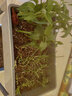 田間小徑陽(yáng)臺種菜盆立體多層組合懶人盆家庭種植箱長(cháng)方形自吸水塑料草莓盆 D202雙層種菜盆 帶輪 曬單實(shí)拍圖
