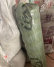 富立仕地暖硅晶網(wǎng)地暖管道回填網(wǎng)防開裂保護網(wǎng)地熱網(wǎng)白網(wǎng)片地暖網(wǎng)格 1米寬*100米長/整卷 曬單實拍圖