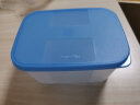 特百惠（Tupperware） 肉类海鲜收纳盒家用冰箱密封储藏冷冻塑料保鲜盒700ml颜色随机 2个 700ml 无包装盒 晒单实拍图