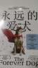 永遠的愛(ài)犬 讓你的犬類(lèi)伙伴更年輕、更健康、更長(cháng)壽的神奇科學(xué)  寫(xiě)給毛孩子家長(cháng)的狗狗續命指南 羅德尼哈比卜等著(zhù) 永生狗中文版 曬單實(shí)拍圖