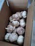 十里饞河南開封干大蒜新鮮紫皮蒜干農(nóng)戶自種曬干籽多瓣獨頭蒜頭 3斤 曬單實拍圖