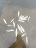 大草魚(yú)苗淡水養(yǎng)殖活體魚(yú)塘吃草食蚊魚(yú)大規(guī)格半斤皖魚(yú)冷水觀賞食用草魚(yú)魚(yú)苗 100條8-10厘米草魚(yú)加10條防損 曬單實(shí)拍圖