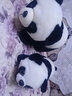 呼呼熊 黑白熊貓公仔毛絨玩具國寶大熊貓小熊抱枕玩偶娃娃抱抱熊女男孩 黑白色 40+30厘米熊貓 曬單實(shí)拍圖