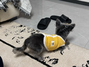 鉑吶苓貓咪狗狗寵物衣服小型犬加厚保暖泰迪加菲布偶英短衣服兩腳款棉衣 寵物衣服【可愛(ài)黃小熊】 S 曬單實(shí)拍圖