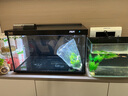 森森（SUNSUN）金麟超白魚(yú)缸免換水生態(tài)過(guò)濾制氧桌面生態(tài)金魚(yú)缸 【自動(dòng)喂食】480B 假山景2 曬單實(shí)拍圖
