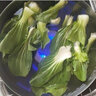 海爾洗菜機(jī)去農(nóng)殘留食材凈化機(jī)果蔬清洗機(jī)肉類凈化器無(wú)線家用 HJ-F712F(粉色) 曬單實(shí)拍圖