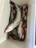 OLYMPUS奧林帕斯 御流青云近海船釣竿舟山黃魚(yú)竿沉船底釣小船竿夜光竿稍 御流青云40號2.4米槍柄 曬單實(shí)拍圖