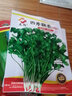 蘇瑞耐寒耐熱香菜種子大葉芫荽陽臺四季香菜種菜種籽種籽農(nóng)家蔬菜種孑 四季香菜【20克】 曬單實拍圖