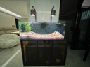 玉弘杰超白玻璃溪流缸客廳中大型魚(yú)缸家用水草缸底濾免換水生態(tài)水族箱 黑色框架+茶色玻璃柜門(mén)+內(nèi)置背包 120*45*126cm 曬單實(shí)拍圖