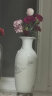 欢畅 景德镇陶瓷器花瓶中式现代家居客厅装饰书房电视柜博古架摆件  雪景冬瓜瓶大号 实拍图