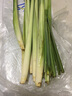 【順豐】新鮮香茅草檸檬草香茅 泰式冬陰功湯料調(diào)料香料 1000g 曬單實拍圖