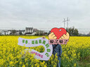 mont·bell軟殼衣男款戶外秋冬防風(fēng)保暖防潑水徒步登山連帽外套 1106727 GY灰色 S 曬單實拍圖