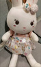 惠妮寶貝毛絨玩具小白兔兔子公仔布娃娃可愛女孩布偶小兔子玩偶生肖兔禮物 粉色 80厘米 曬單實拍圖