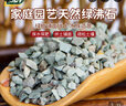 尚洋綠沸石2.5kg 多肉土顆粒鋪面石美觀(guān)園藝無(wú)土栽培基質(zhì)植物種植基質(zhì) 曬單實(shí)拍圖