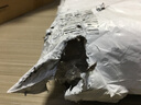 印度：史蒂夫·麥凱瑞 曬單實(shí)拍圖